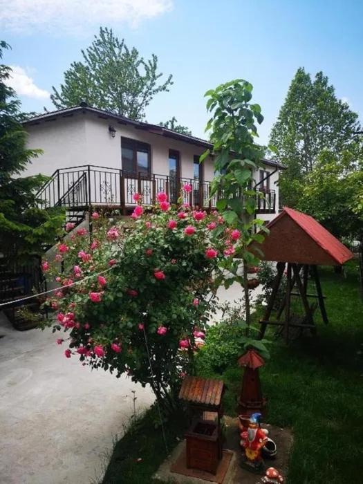 Hotel Casa Tibi Si Nico Eforie Nord Zewnętrze zdjęcie